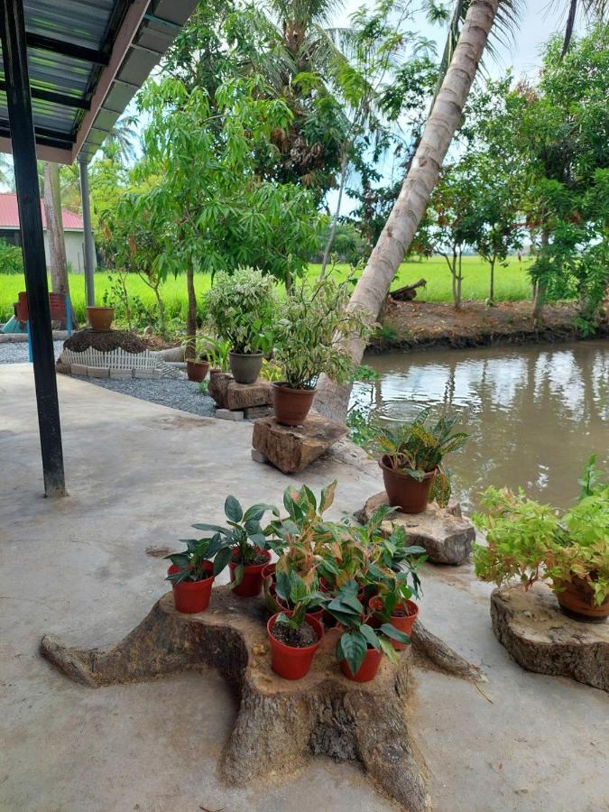 Pink Homestay D'Perlis Kangar Dış mekan fotoğraf