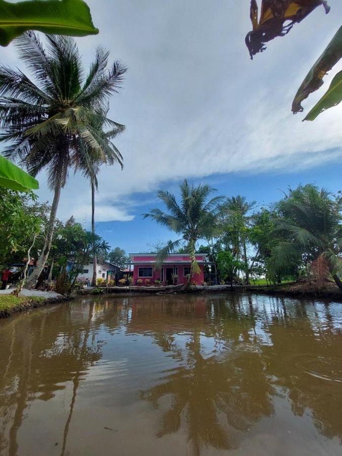 Pink Homestay D'Perlis Kangar Dış mekan fotoğraf